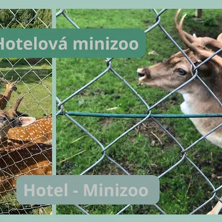 Lazensky Pyramida Szálloda