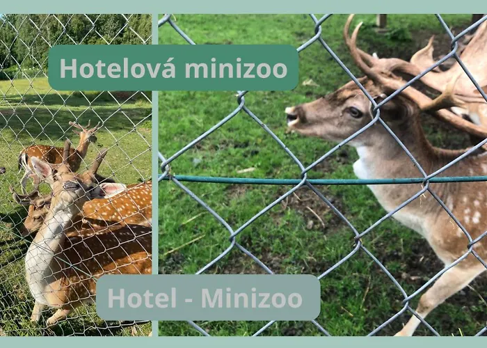 Lazensky Pyramida Hotell